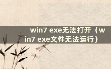 win7 exe无法打开（win7 exe文件无法运行）